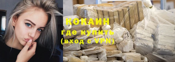 spice Белокуриха