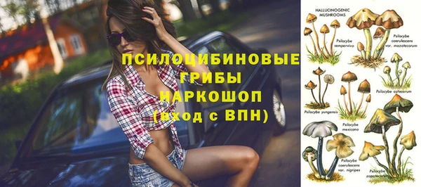 spice Белокуриха