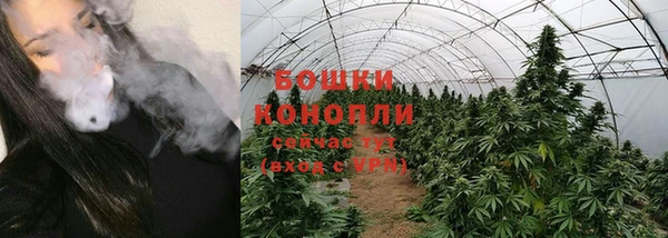 spice Белокуриха