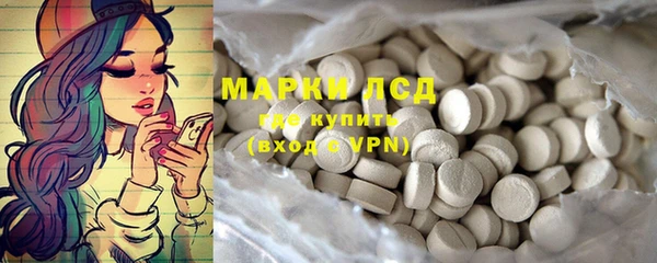 spice Белокуриха