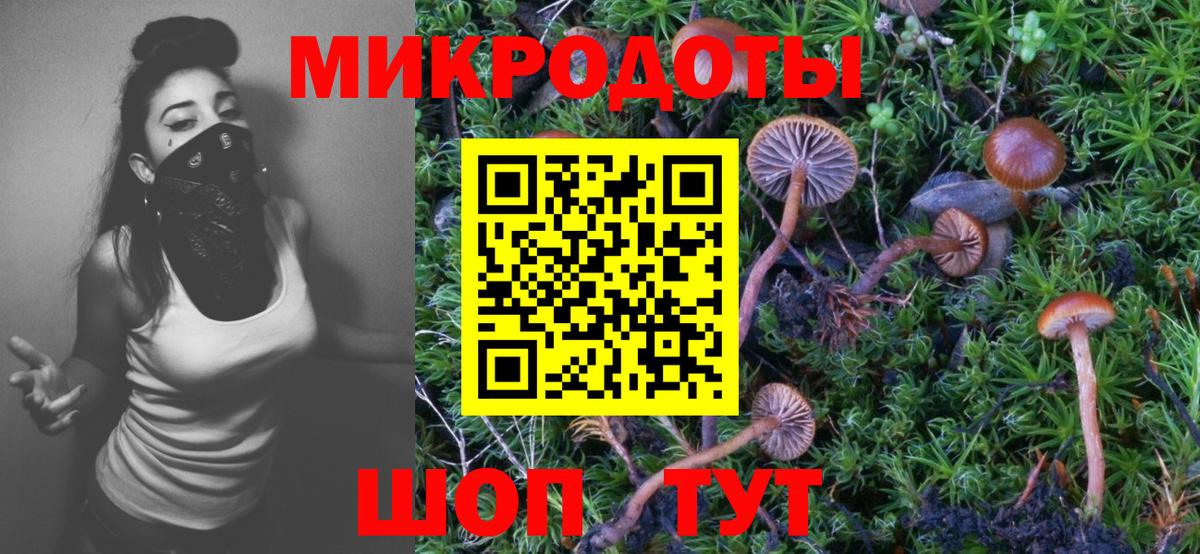 Галлюциногенные грибы MAGIC MUSHROOMS Обь